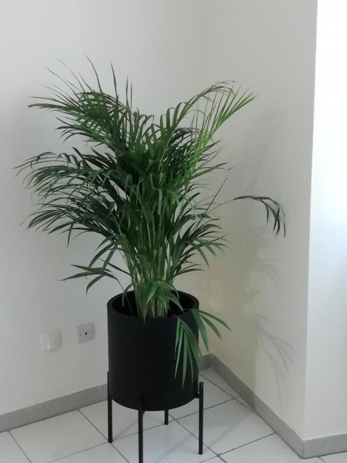 Apartament Le 39 Nîmes Zewnętrze zdjęcie